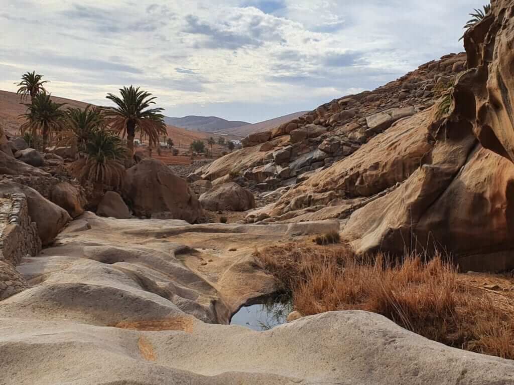 Que ver en fuerteventura