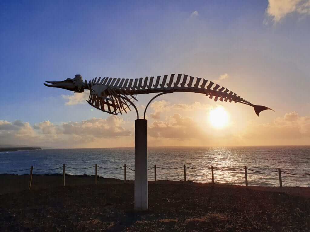 qué ver en Fuerteventura