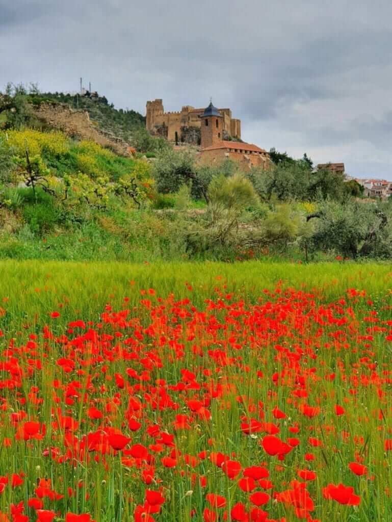 Yeste donde viajar en primavera