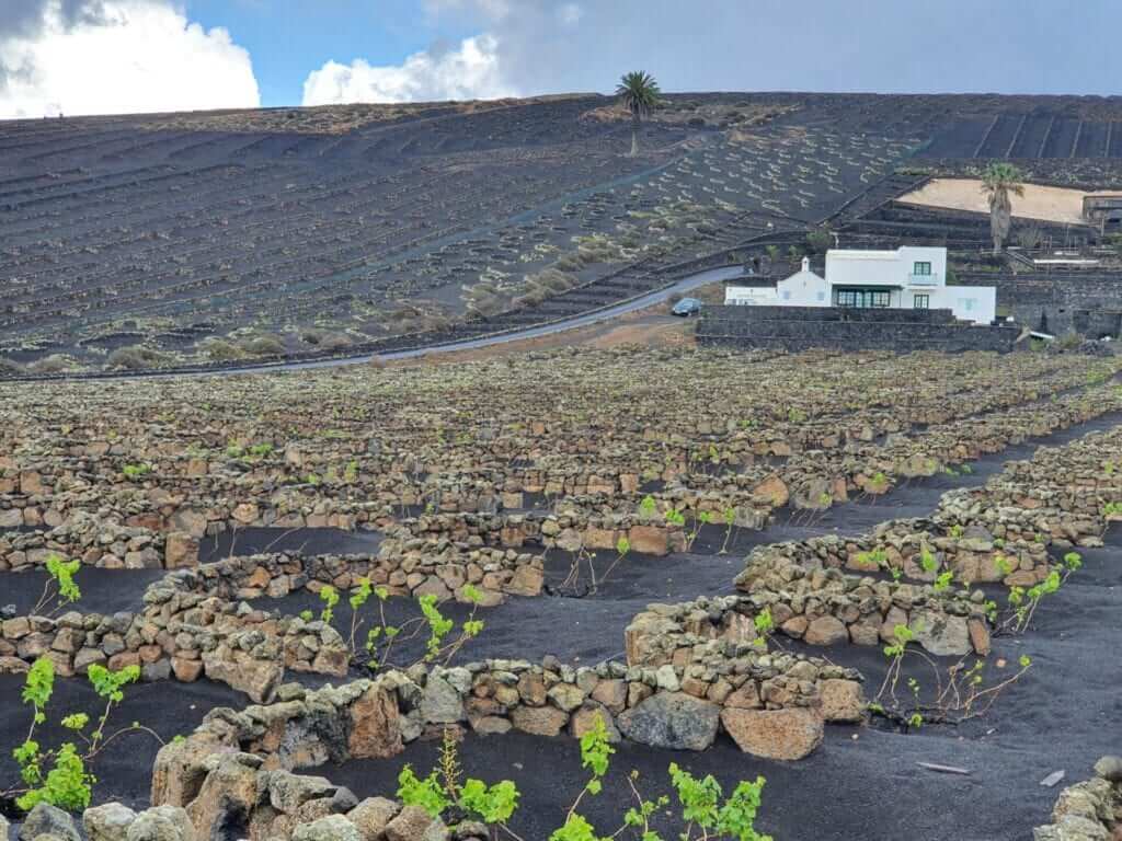 qué ver en Lanzarote