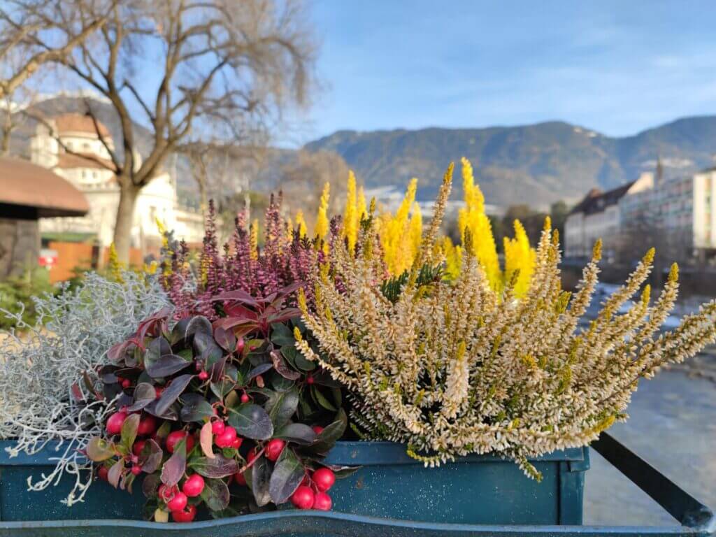 qué ver en Merano