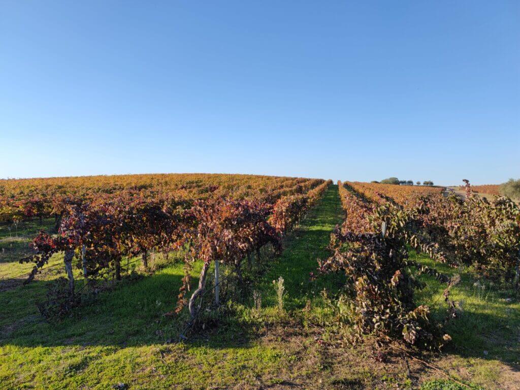 qué ver en el Alentejo