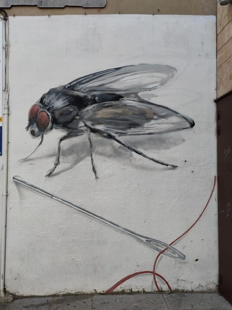 qué ver en Zamora