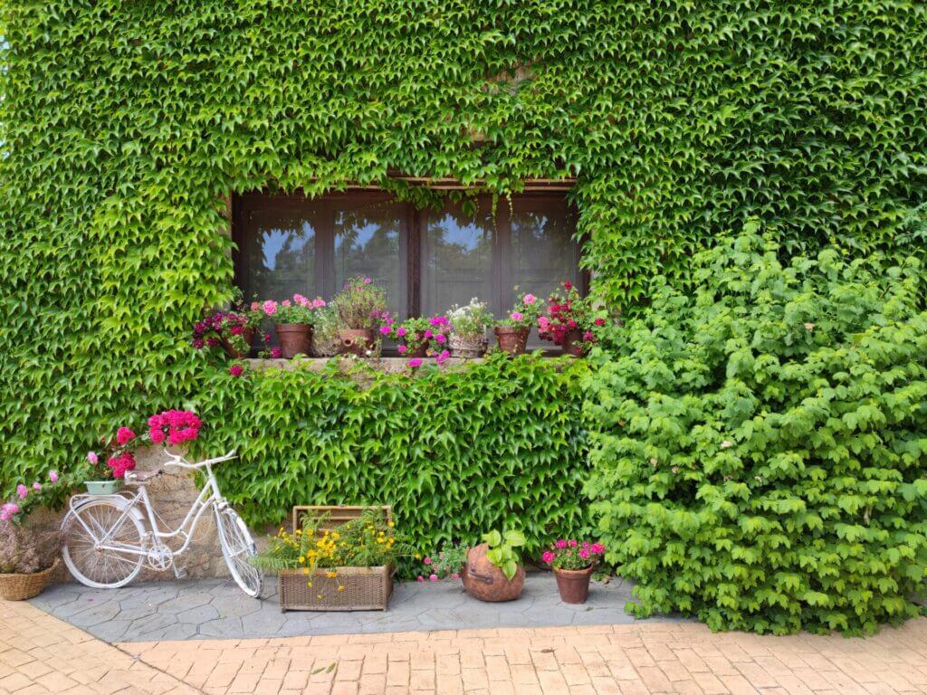 dormir en sierra de gata
