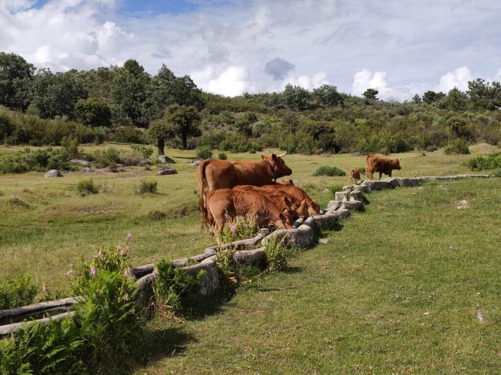 qué ver en la Sierra de Gata
