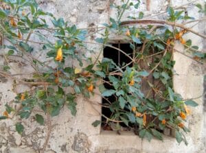 los pueblos más bonitos de Creta