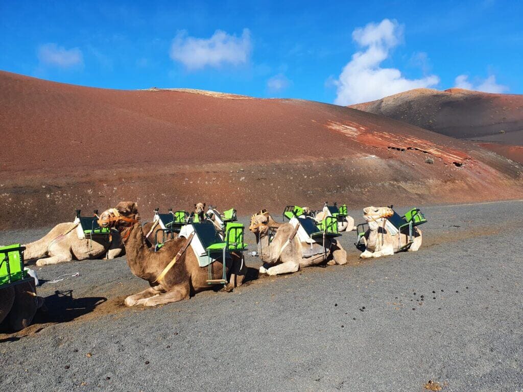 visitar timanfaya
