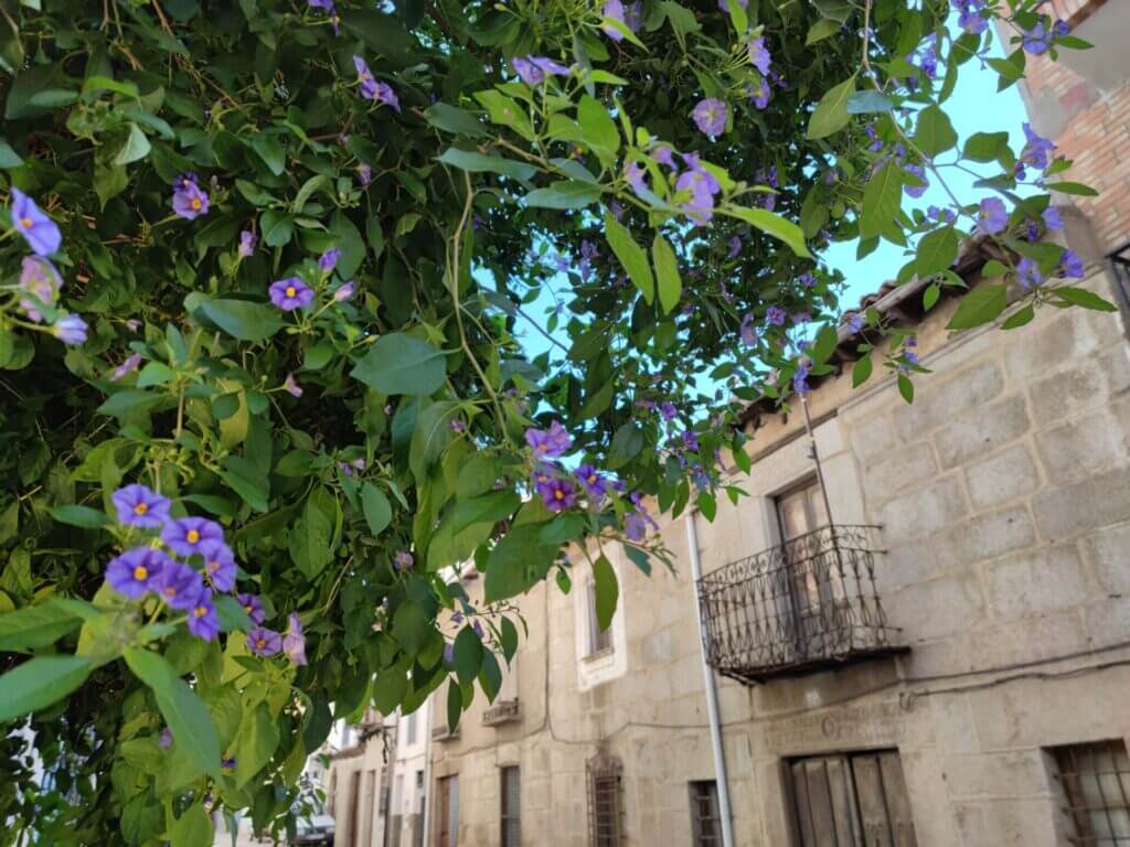 que ver en el valle del jerte