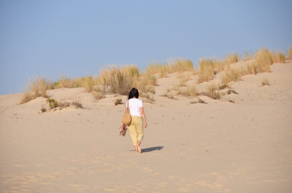 visitar doñana