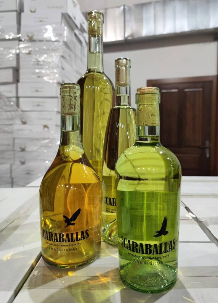 qué hacer en medina del Campo