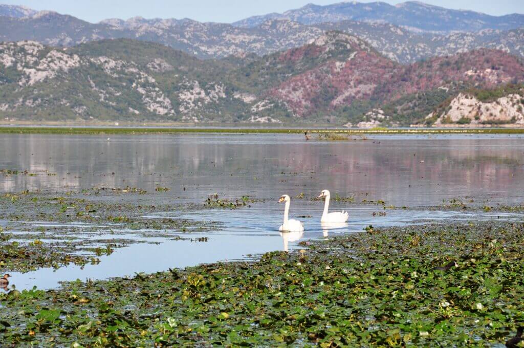 viaje a Montenegro