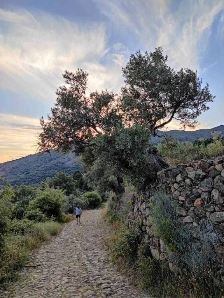 San Martín de Trevejo