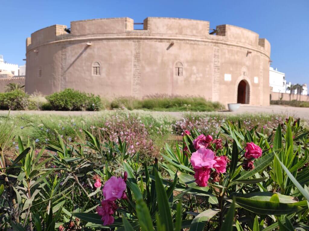 qué ver en essaouira