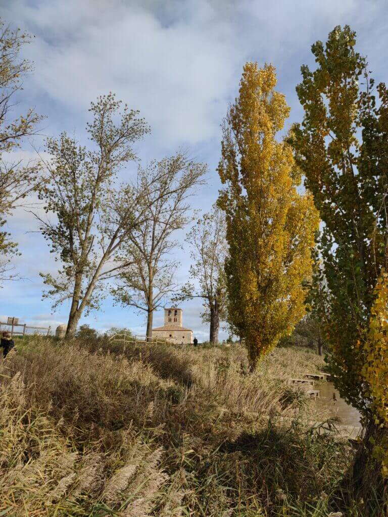 San Miguel del Pino