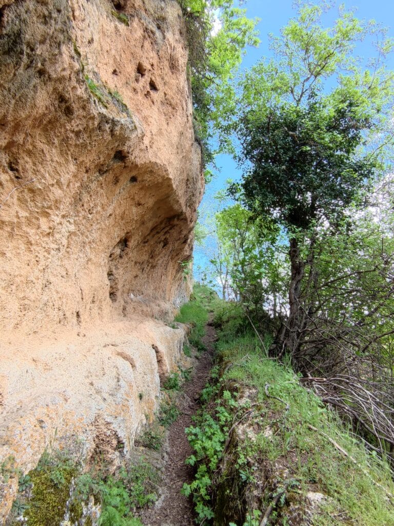 Parque Natural del Alto Tajo