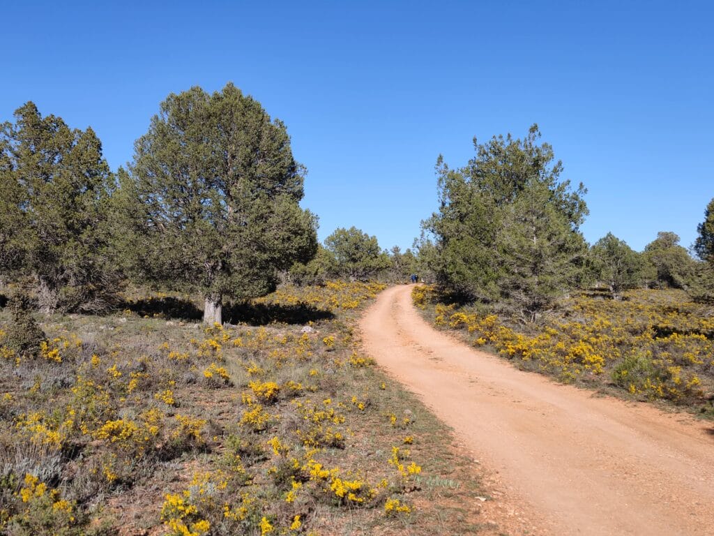 Parque Natural del Alto Tajo