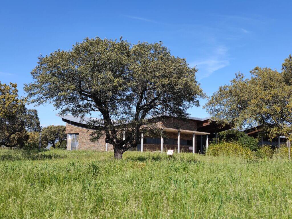 qué ver en monfragüe