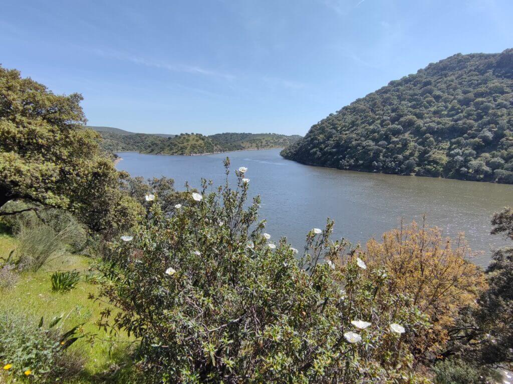 qué ver en Monfragüe