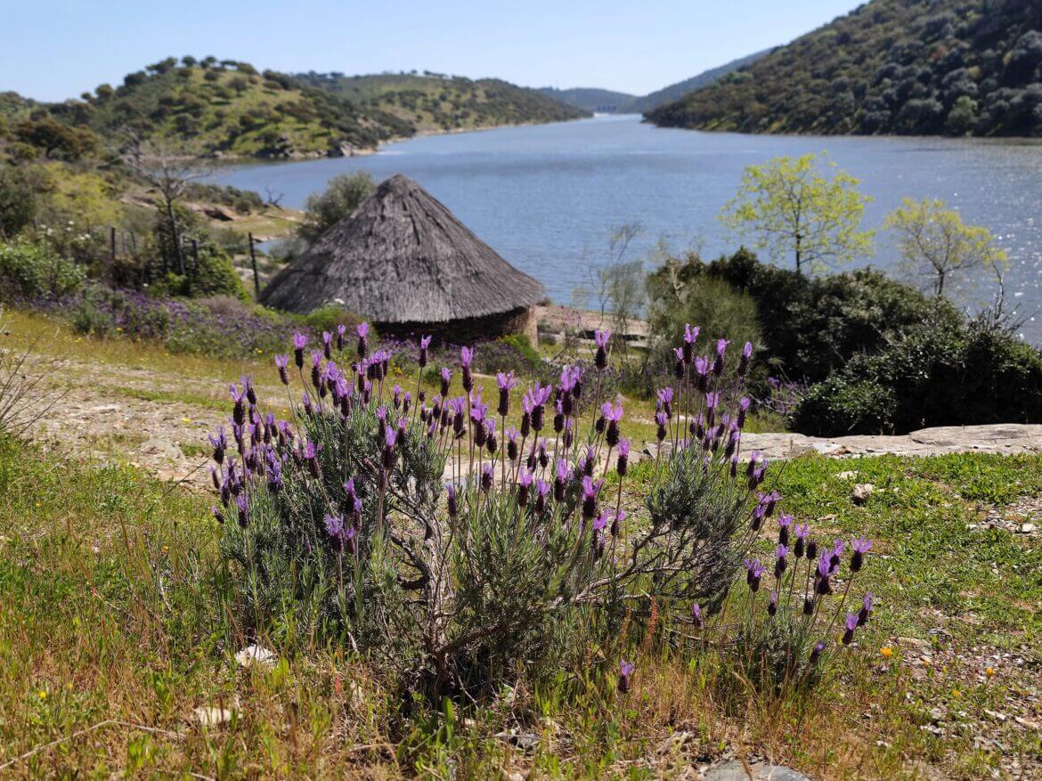 qué ver en Monfragüe